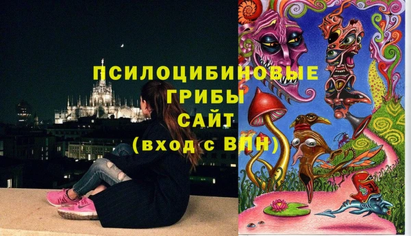 не бодяженный Алзамай